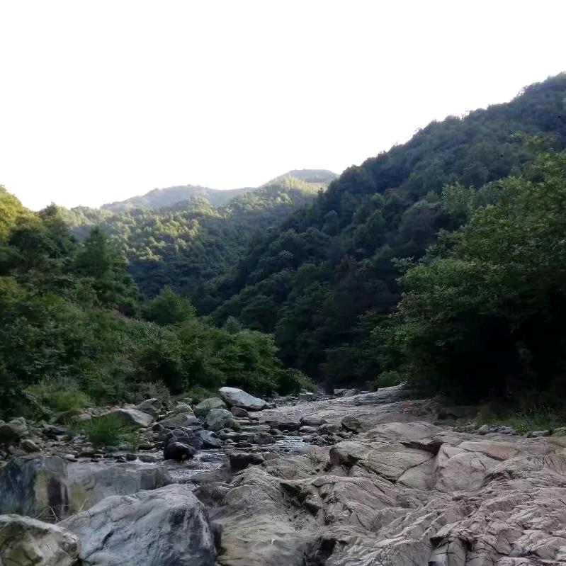 安徽❤️古月哥