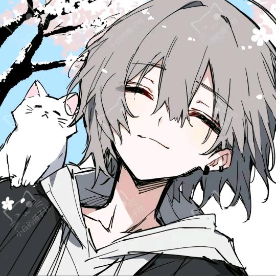 阿雪