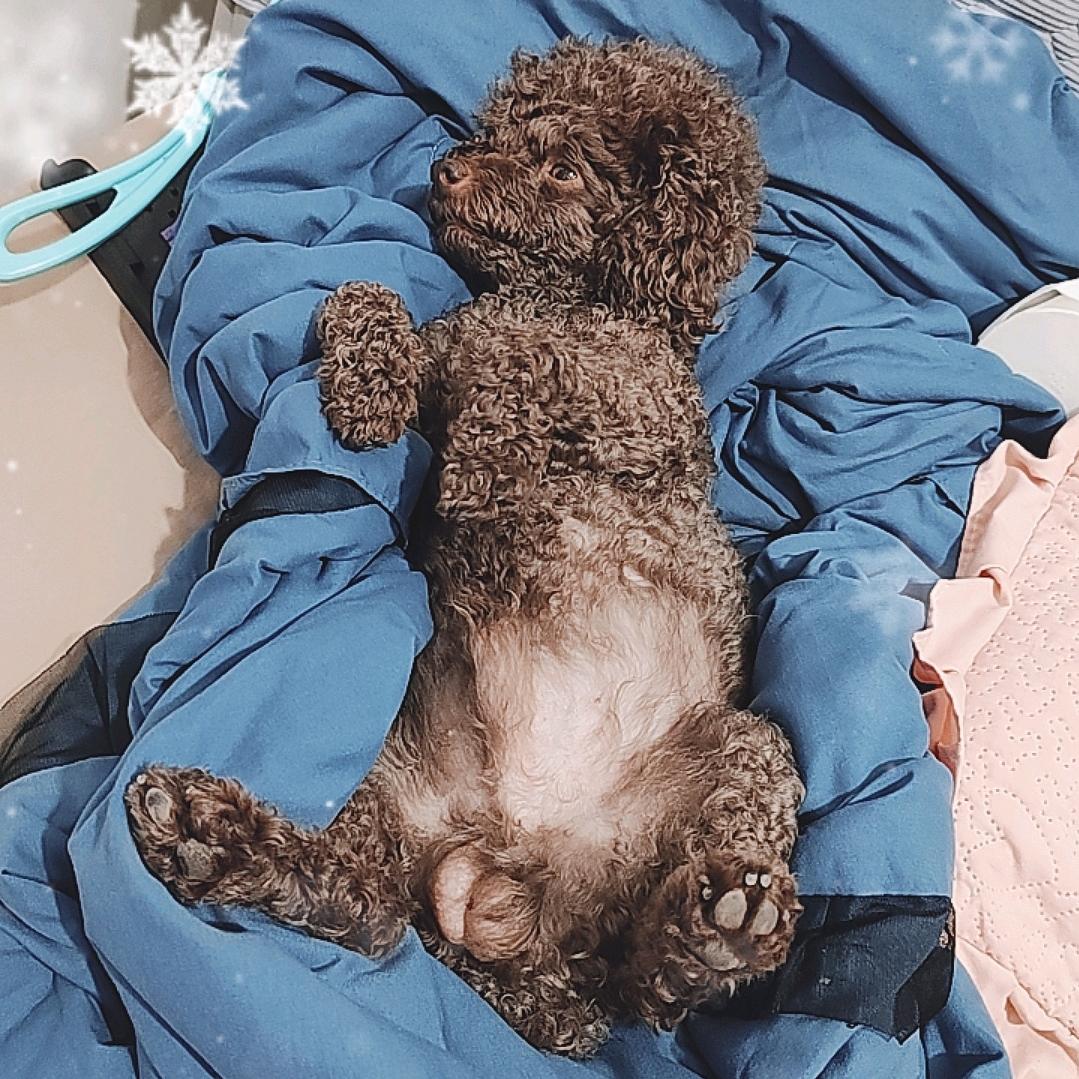 行善积德