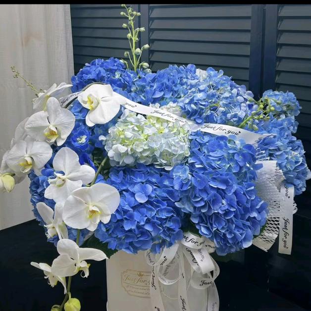 胖福福