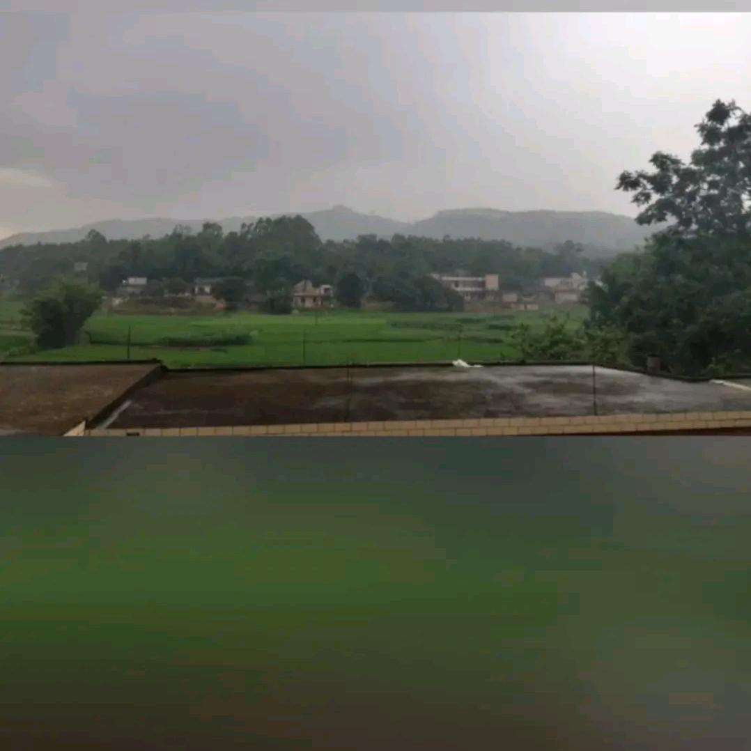 假如世界没有了你