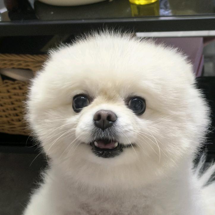 马克洋气