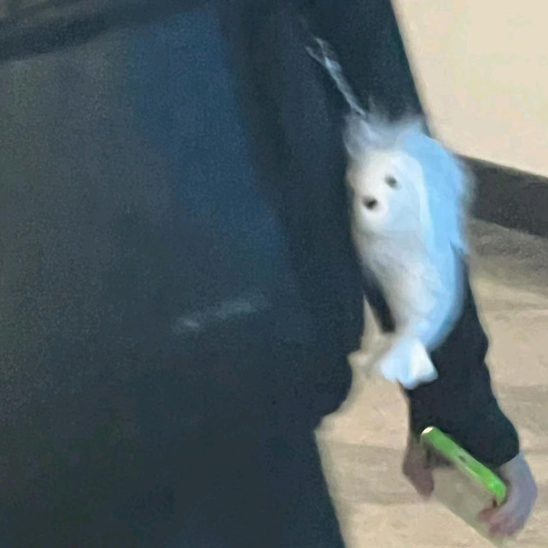 pa