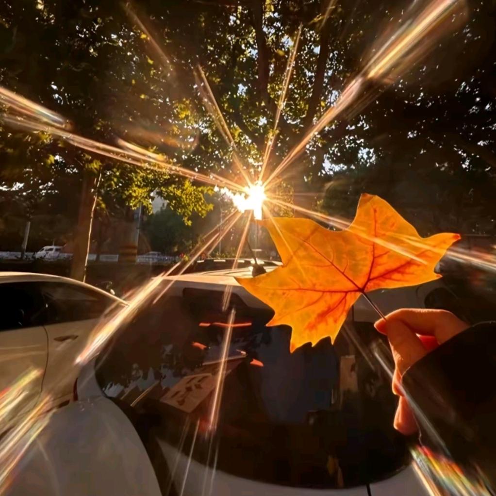 董老师（斐然）