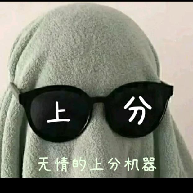 只想上分的小菜鸡