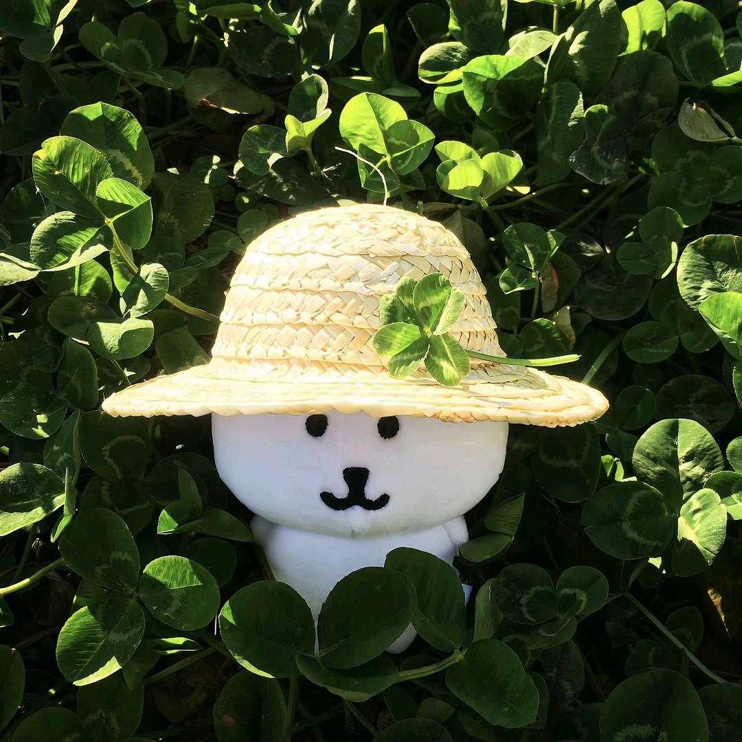 以你为名。
