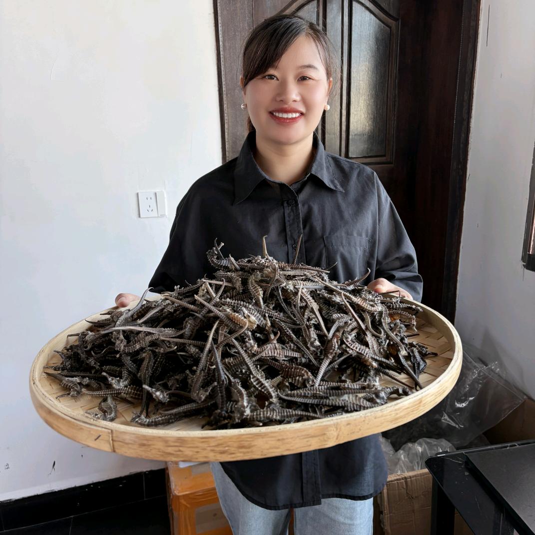 在福建养海马的燕子