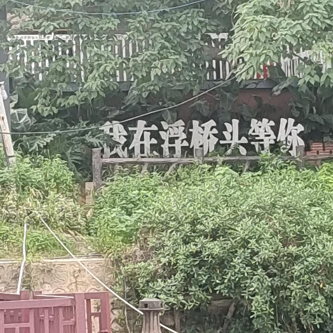 我在春风里等你