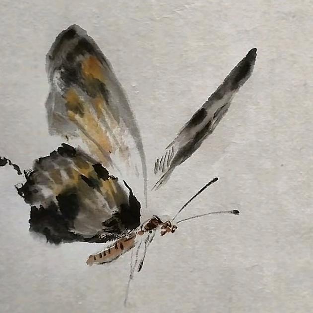 三天打鱼两天晒希望