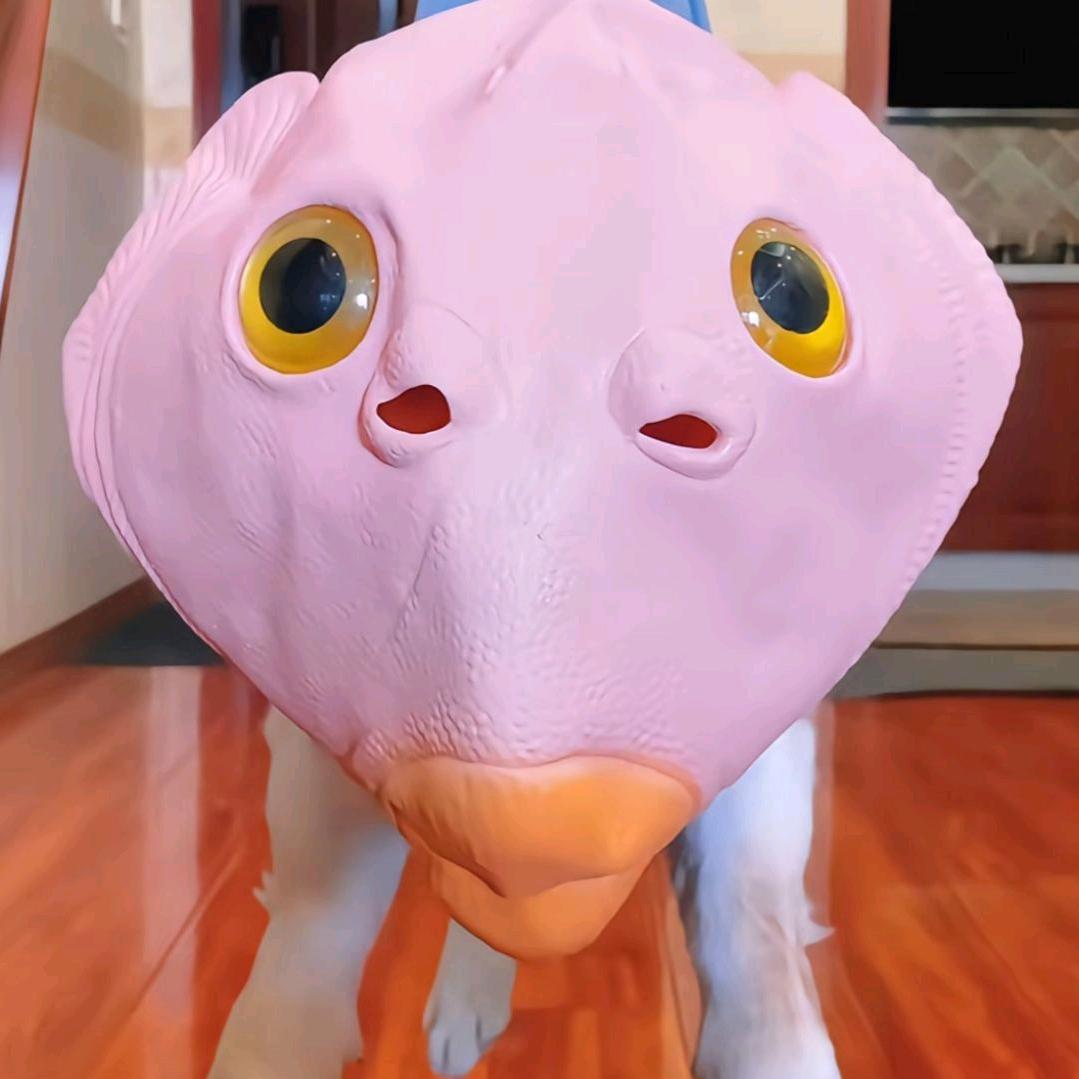 未来