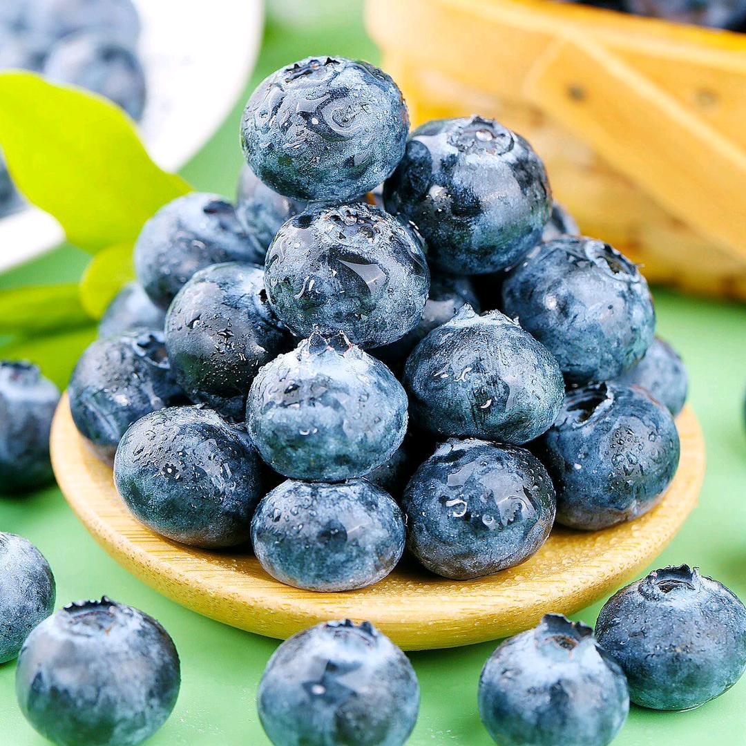 云南花香蓝莓基地