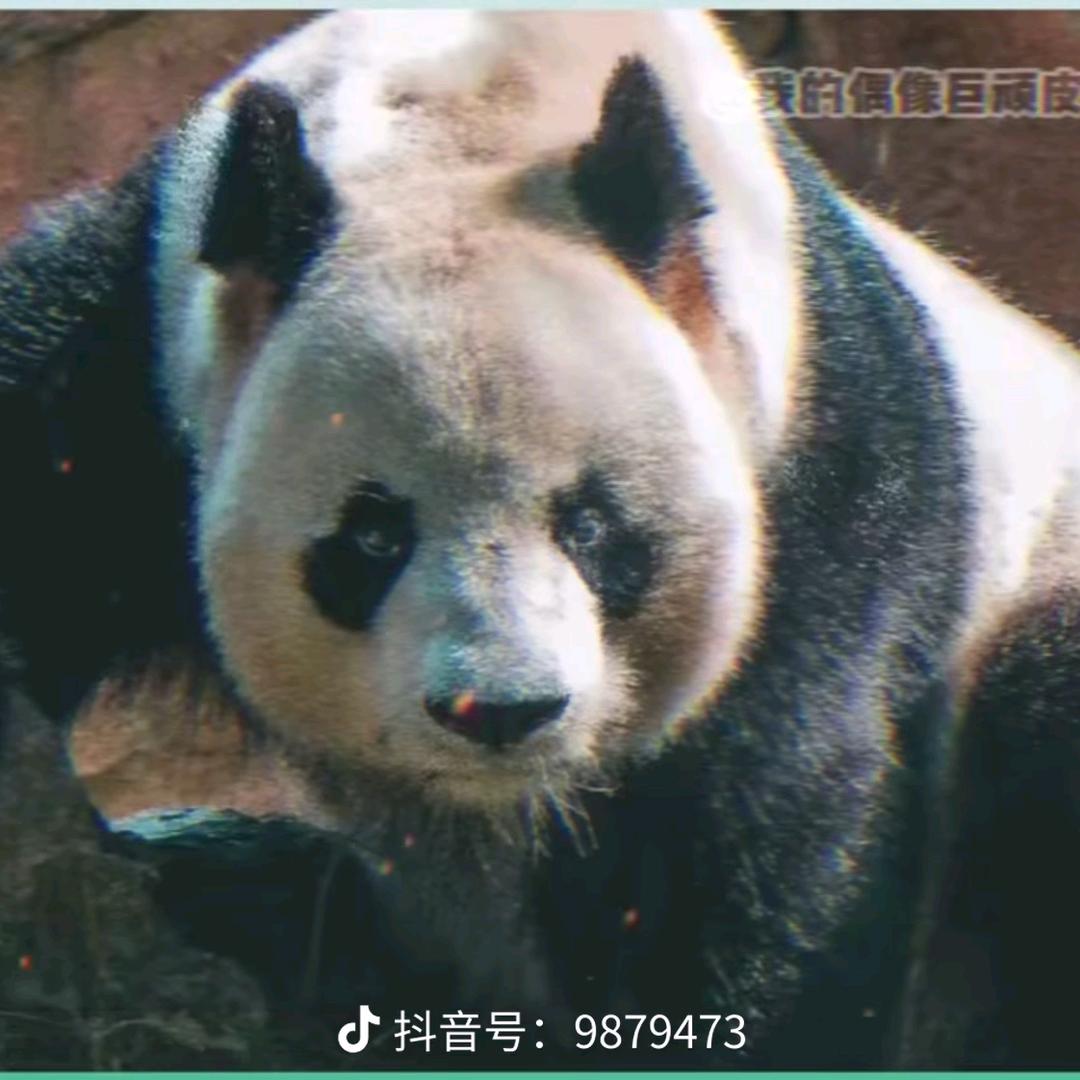 四十岁男人的爱好