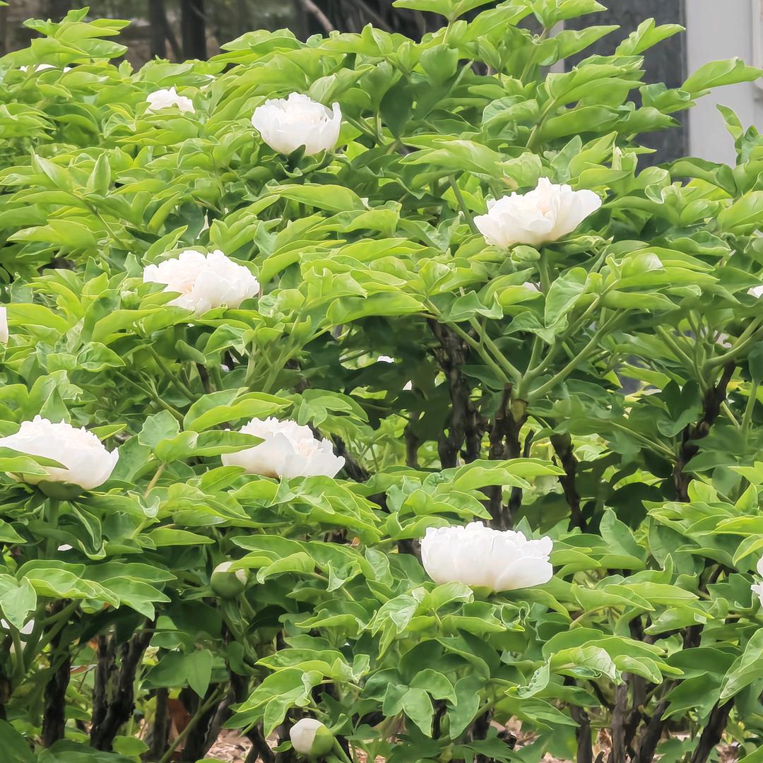 余生好好爱自己❓