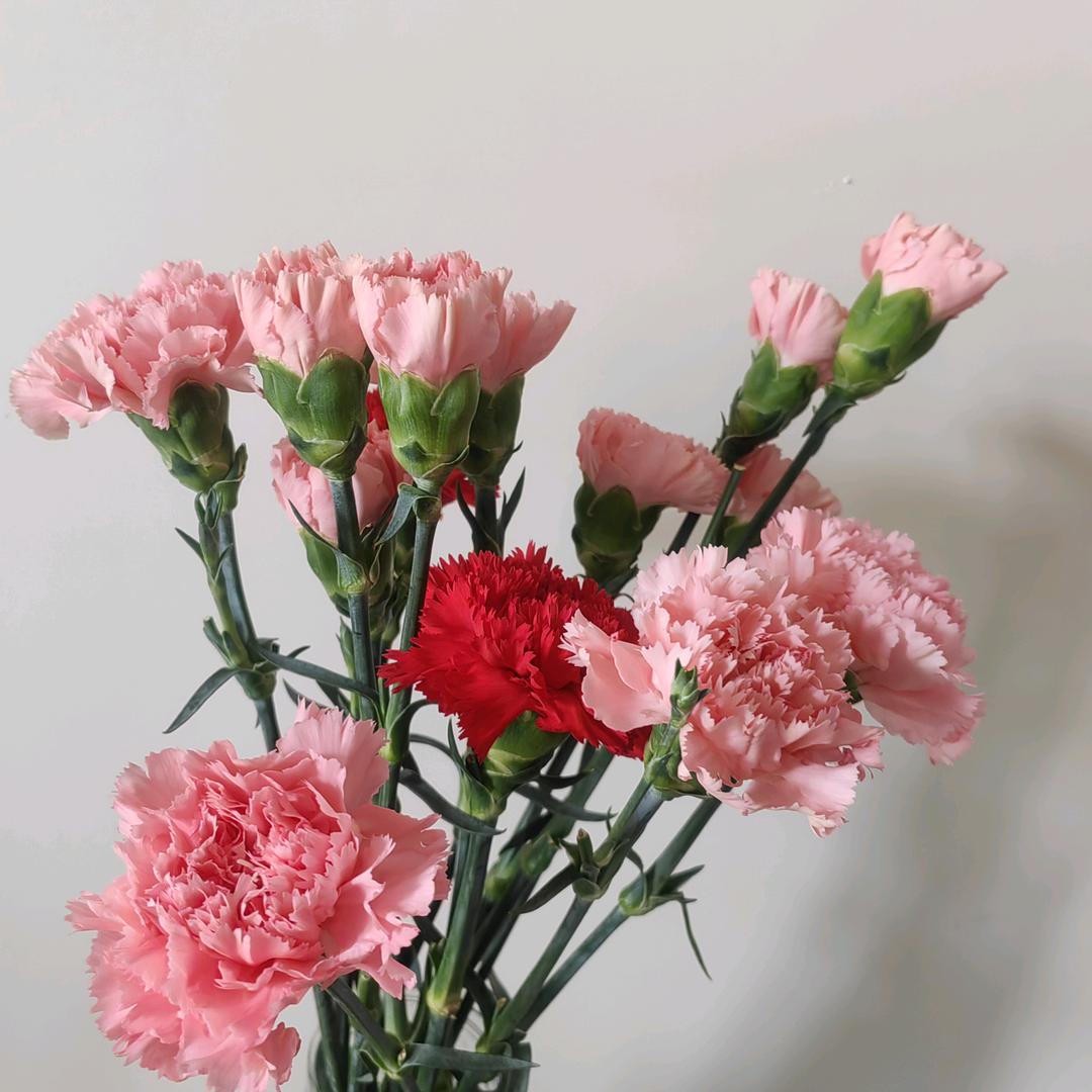 刘刘的生活日记1