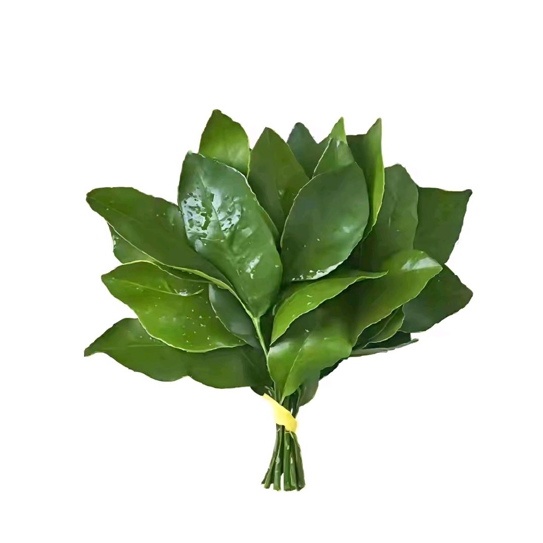 蜡笔小仙♡