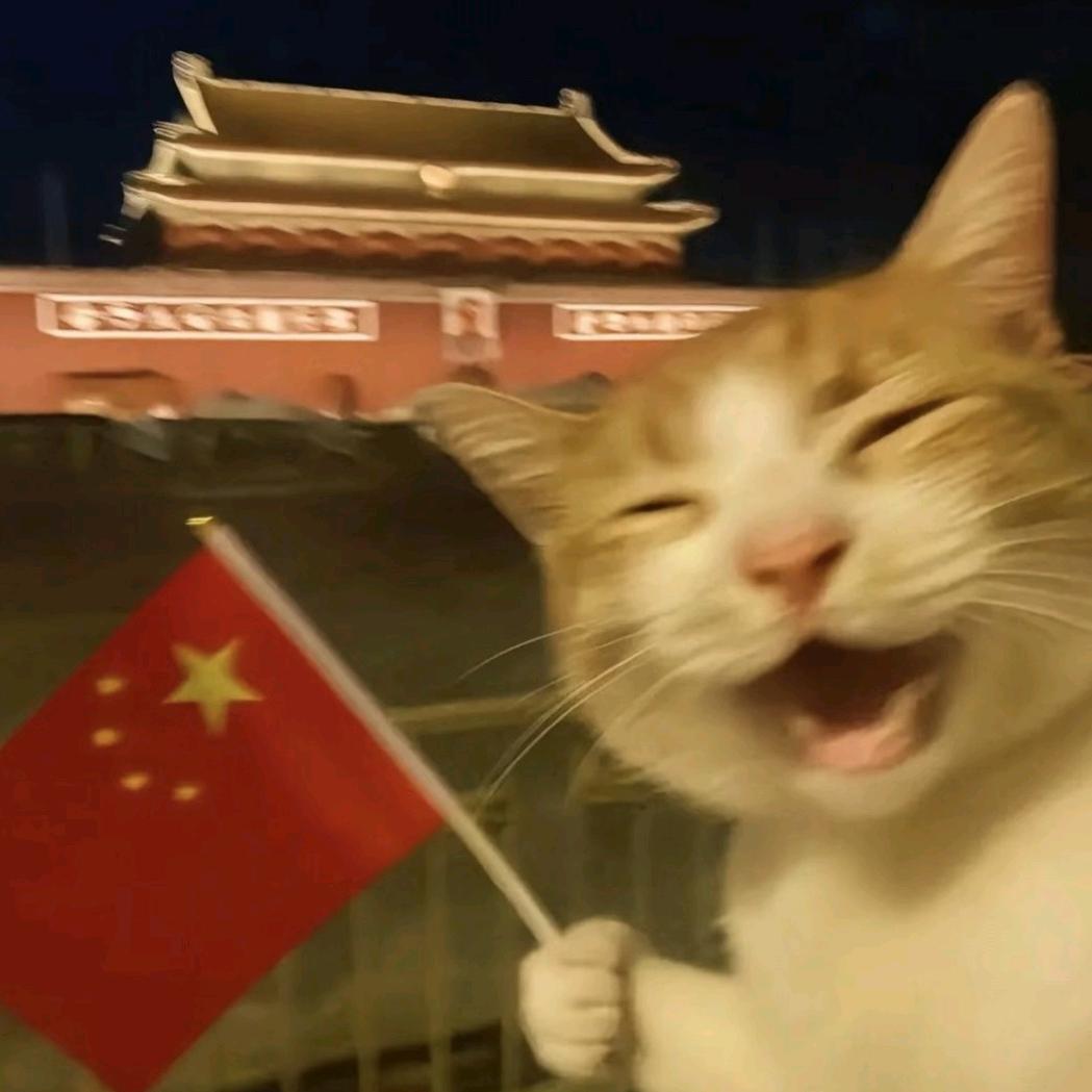 一口十个生蚝