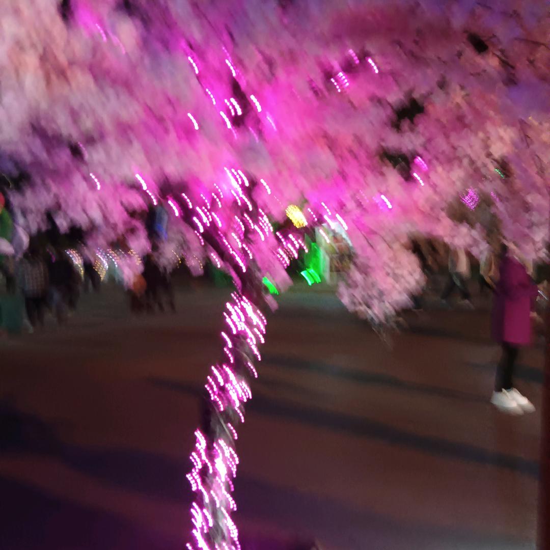 韩姐