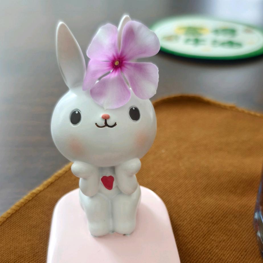 晓寧的春天……