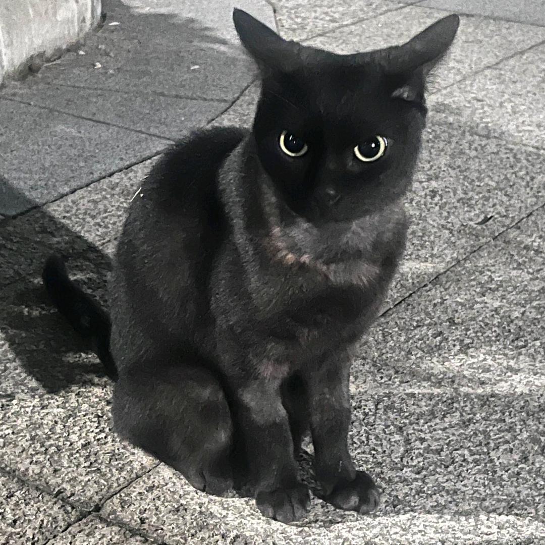 b钱没有长的还丑