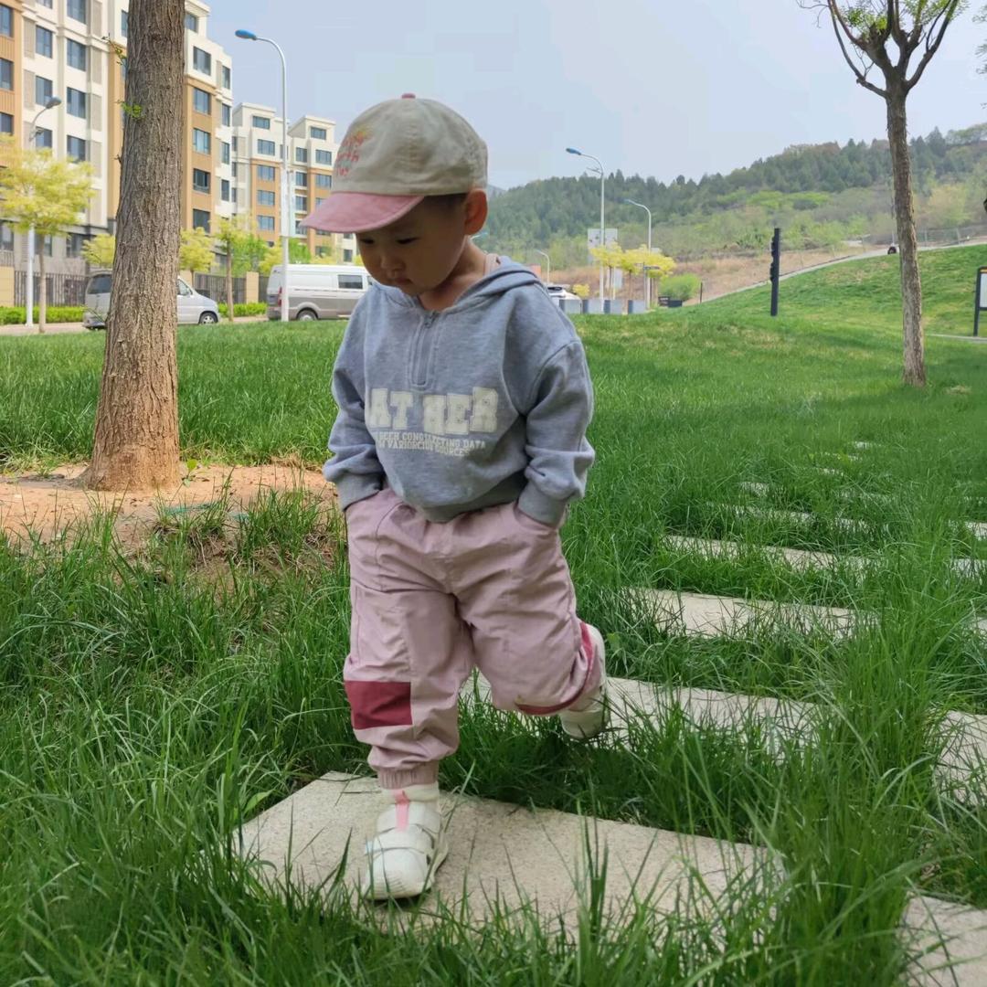 八喜是只miao