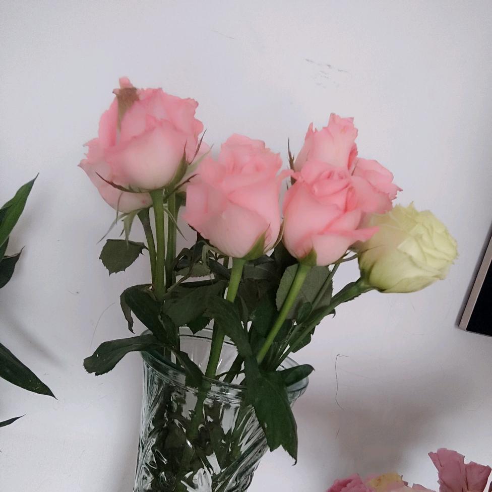 伊伊～