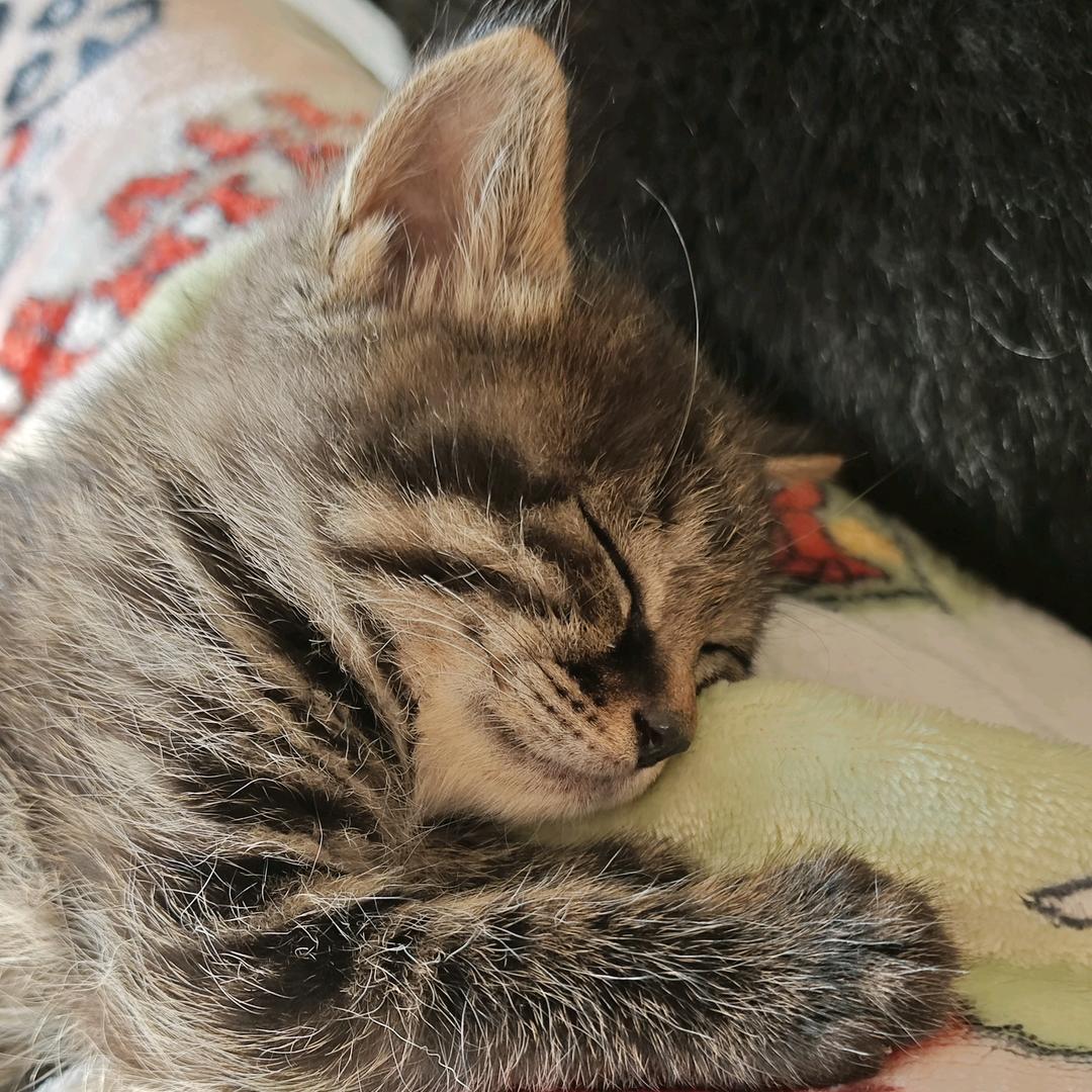 给我来杯生椰拿铁