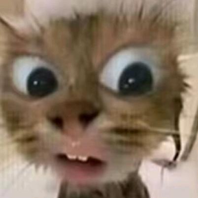 上海下雪🌨️就表白