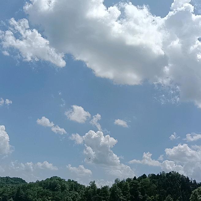 我是你的小宝贝