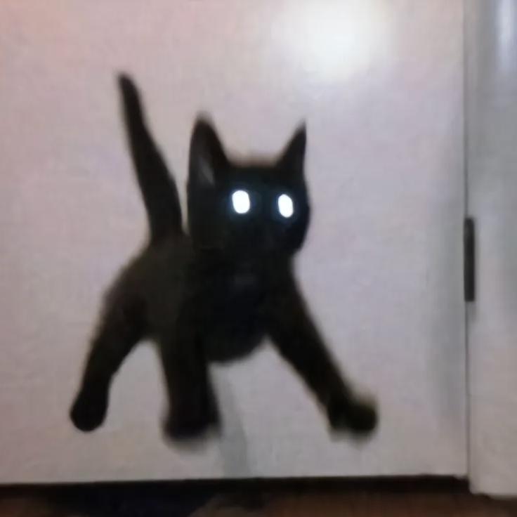 猫了个猫