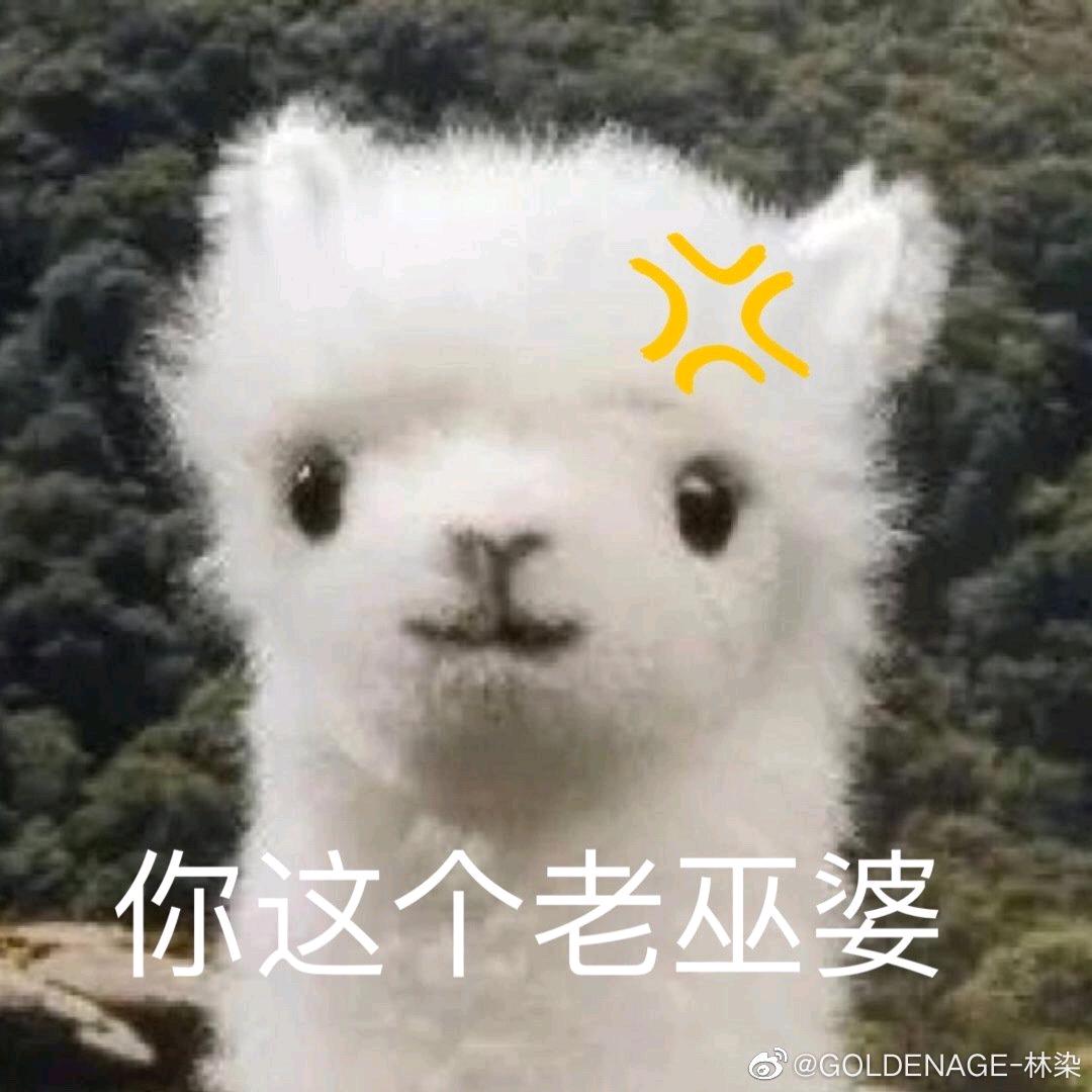 大叔泥