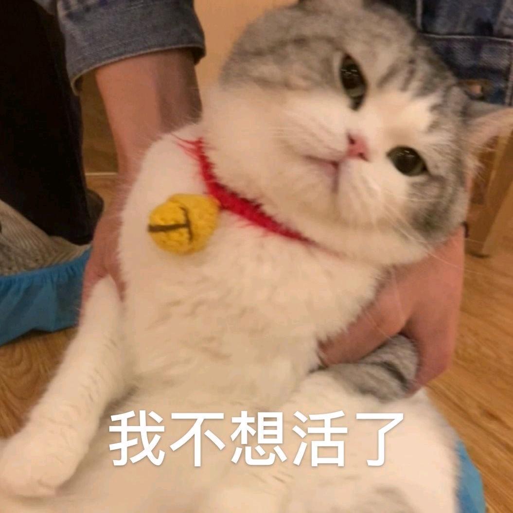 温风如酒（3x3完成版）