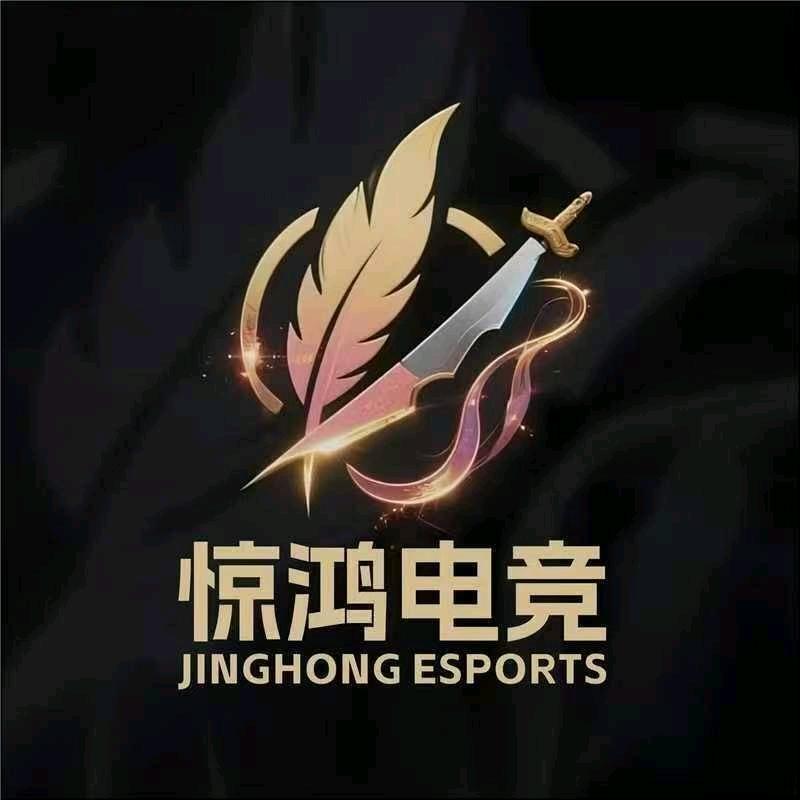 惊鸿电竞（三角洲行动）