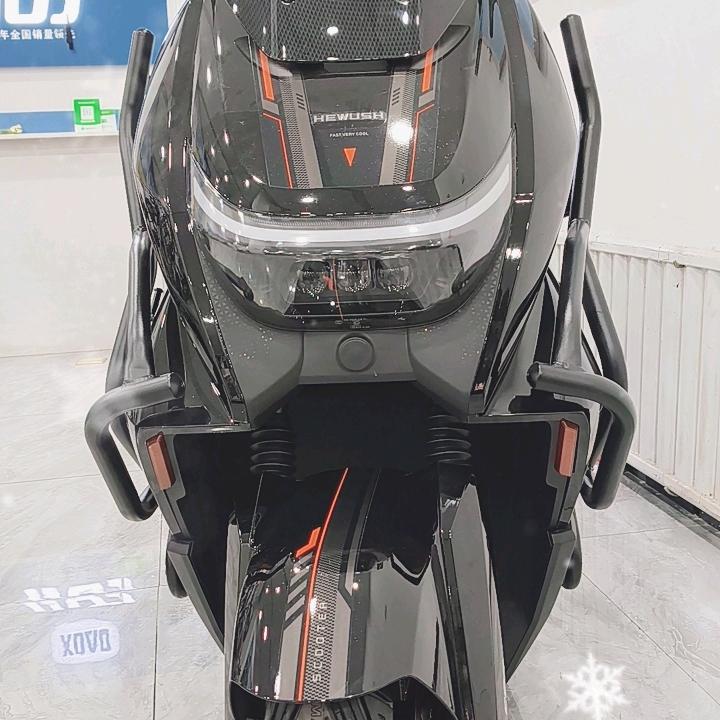 赛鸽黑武士城北店