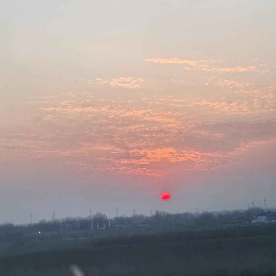 一树梨花压海棠