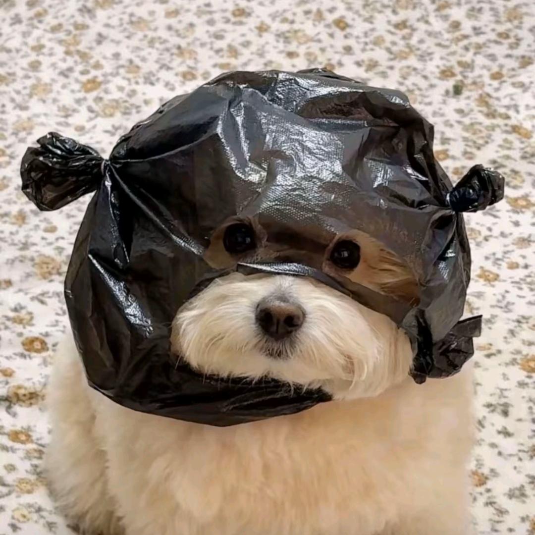 一江仙