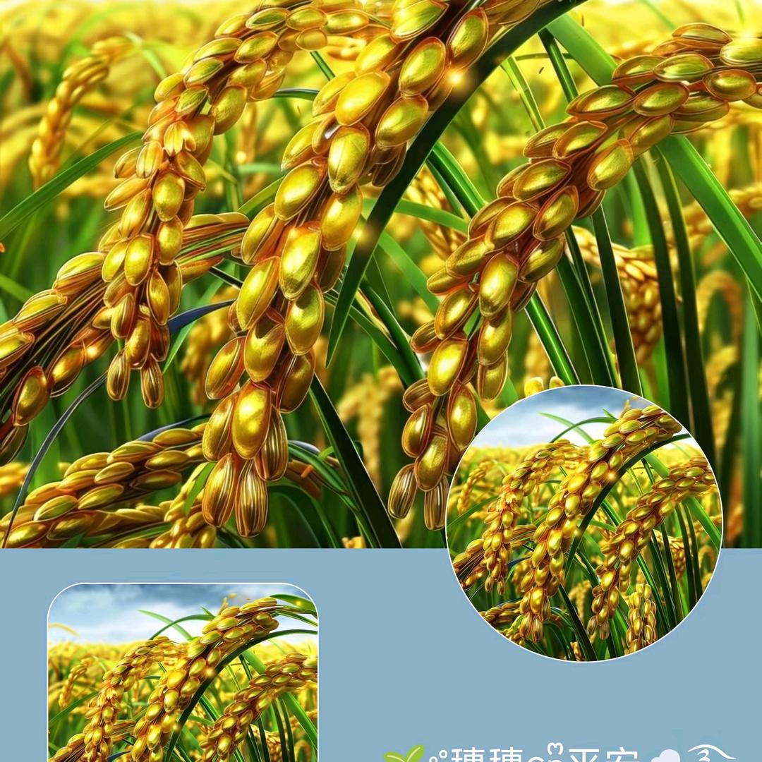 让爱飞扬