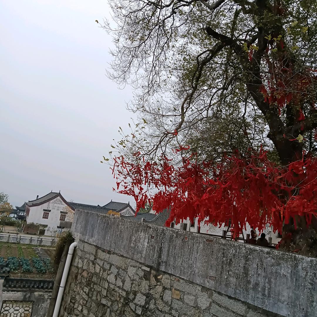 静