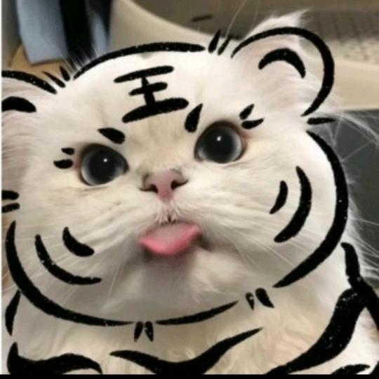 大乌龟♥小刀