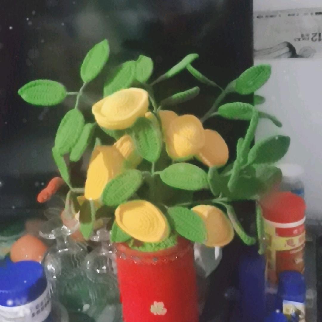 钱串子