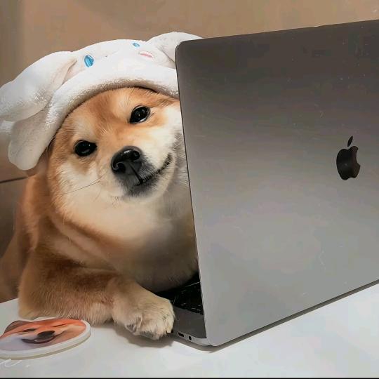 远方好像不如心中那般美好