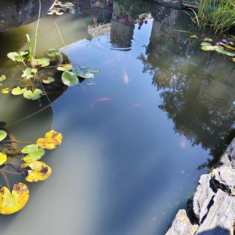 飘渺孤鸿影