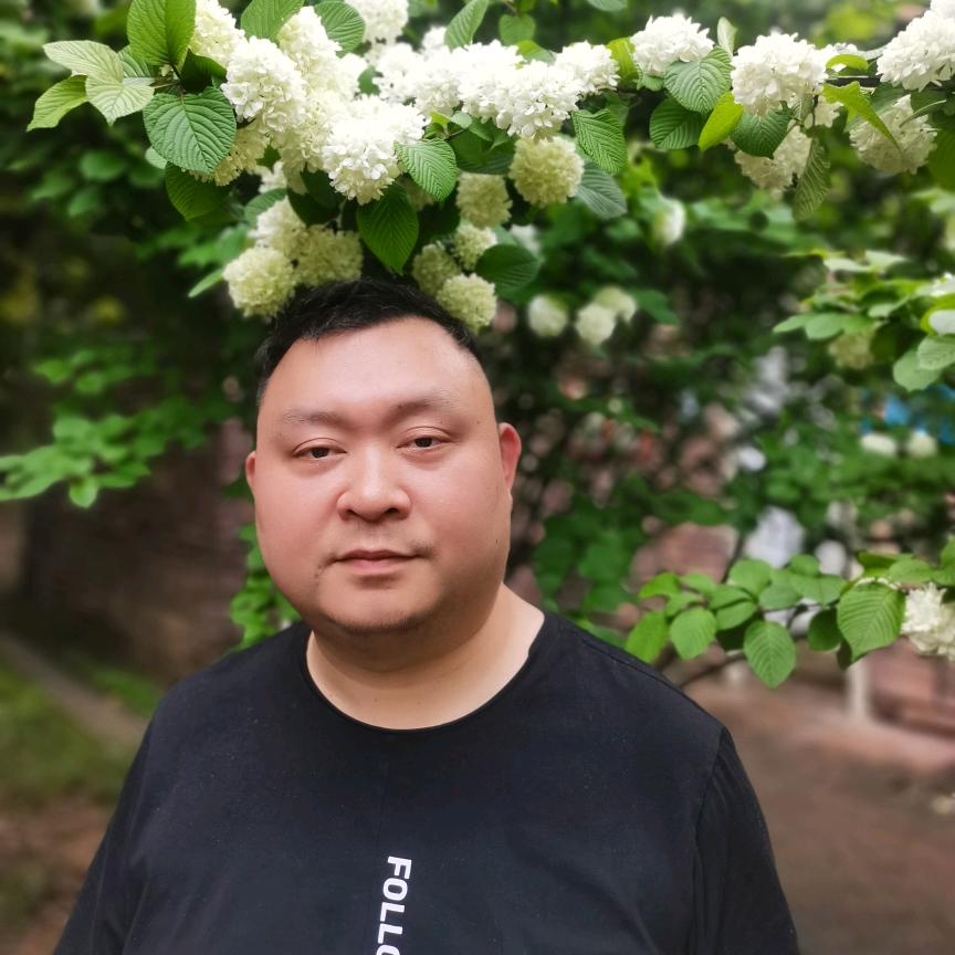 自由飞翔