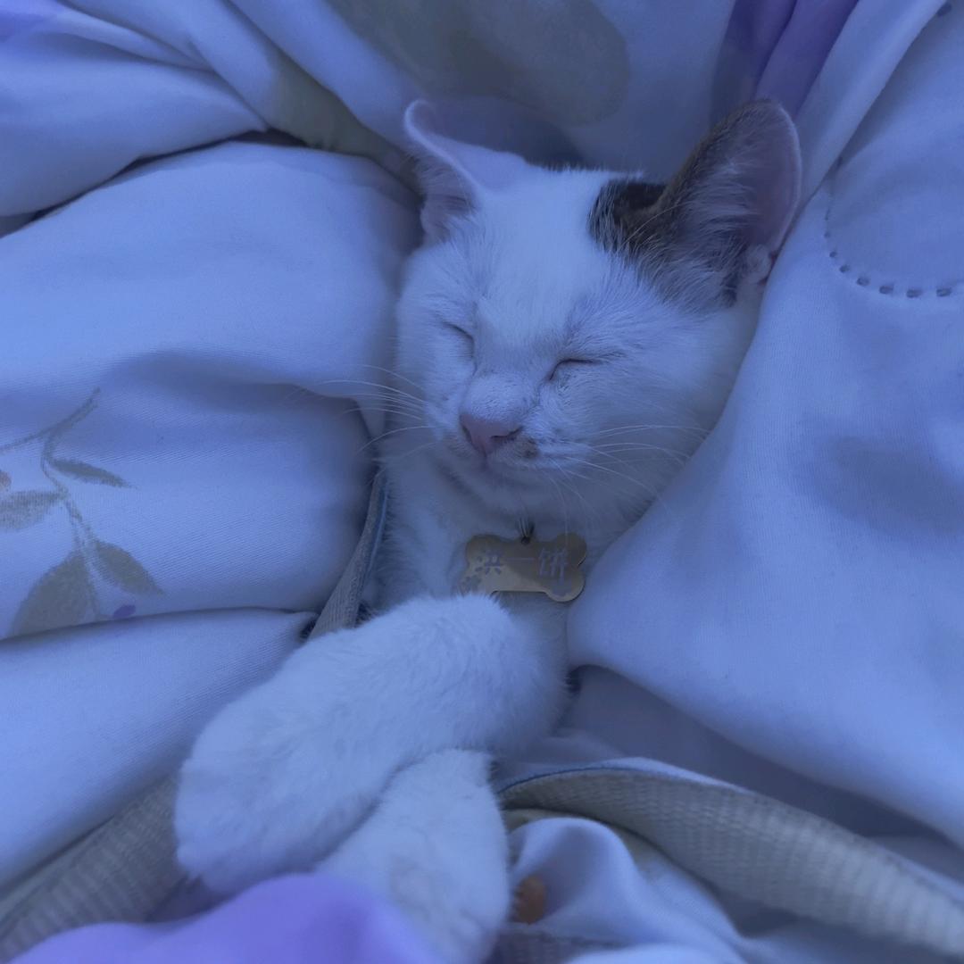 静静会发财