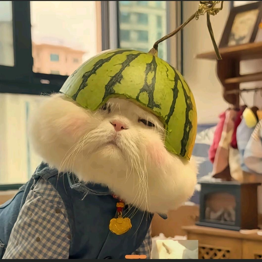 不爱跑步的小李