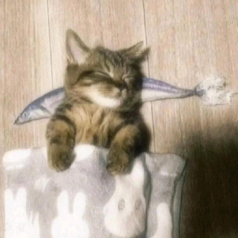 好运爆棚🌈🌈🌈