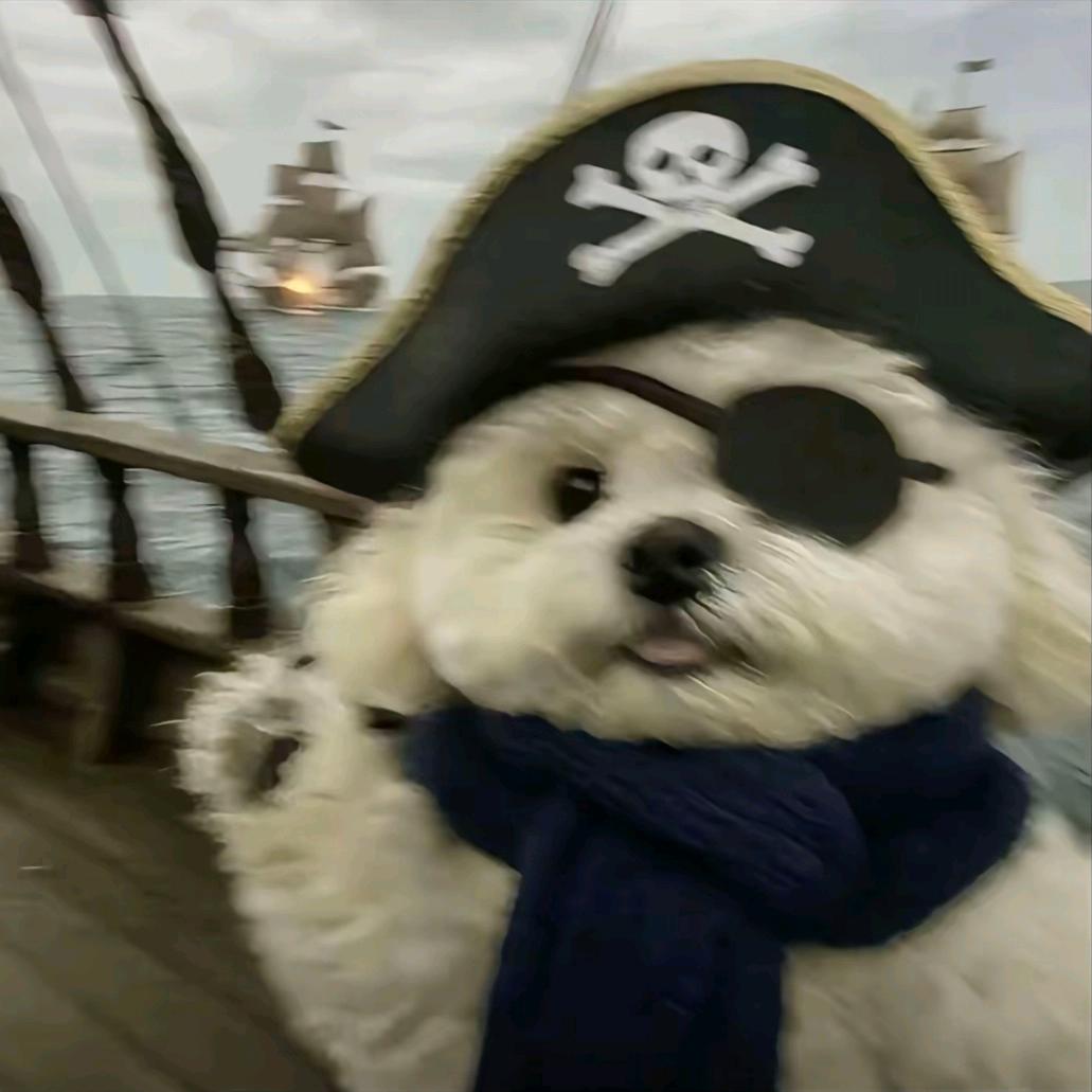 布鲁斯要吃香菜