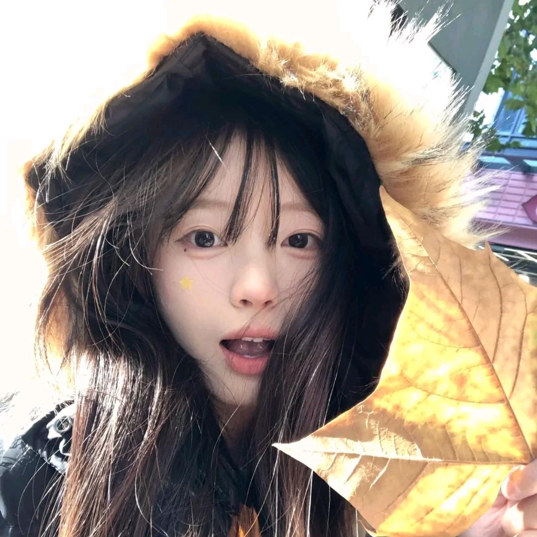 韩灰灰✨