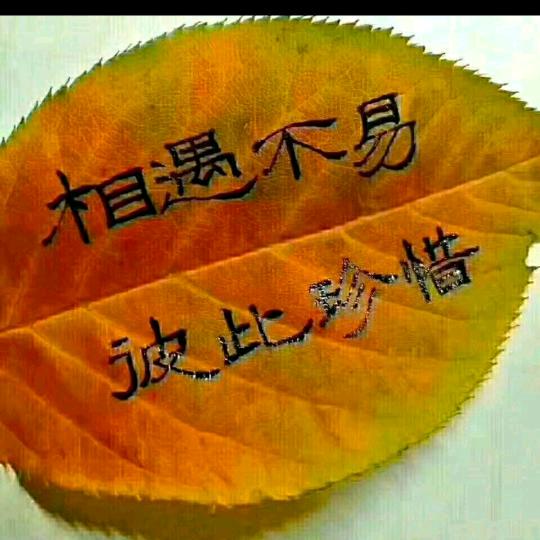 相惜！定不离