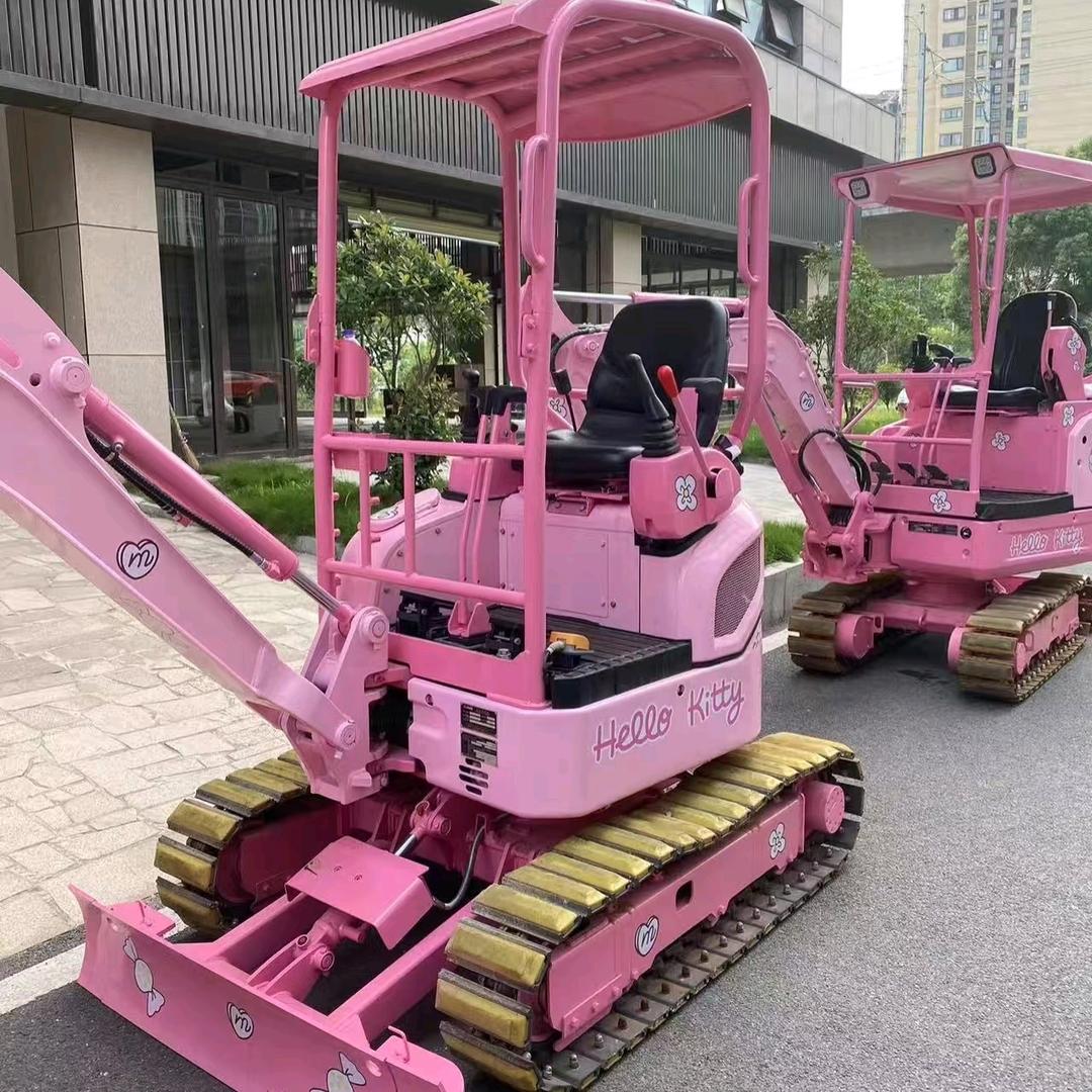 00后开挖机女孩