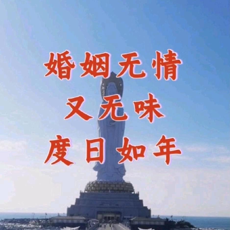 婚姻无情又无味度日如年冷言冷语冷感情